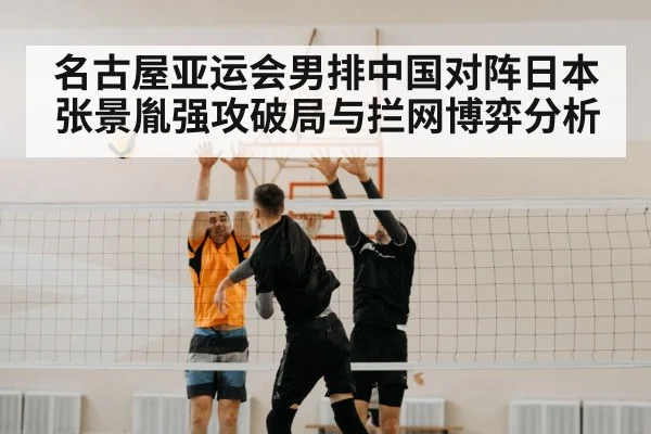 volleyball block net